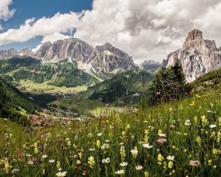 Mountain Meadow - nature, landscape, clouds, snow, mountains, meadow, flowers