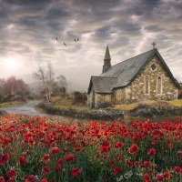 Church House and Poppies