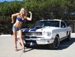 Pure Muscle & Mustang