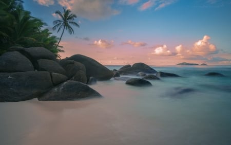 Silhouette Island   - beach, palm trees, sea, coast