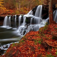 Waterfall-in-Autumn