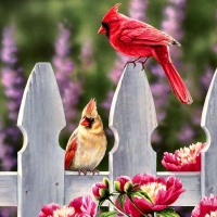 Cardinals and Peonies C