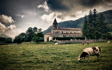 Old Abbey - nature, sky, abbey, cow, architecture, mountains, grass, old