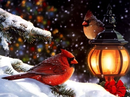 birds by the lantern - branches, lantern, snow, winter, spruce, birds