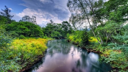 River in Summer - sky, trees, landscape, summer, meadow, coast, nature, river, flowers