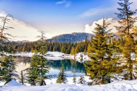 Winter landscape with mountain and lake - trees, winter, snow, landscape, forest, mountain, view, serenity, frost, lake, sky