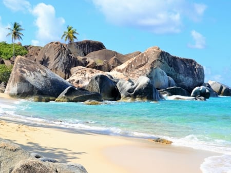 Rocks on the Shore of the Ocean - islands, trees, shore, nature, beach, ocean, virgin, rocks