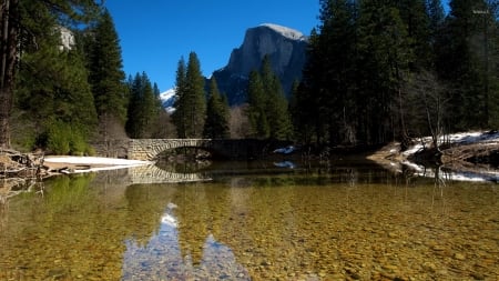 Bridge Over the Clear River - river, trees, water, nature, forest, bridge