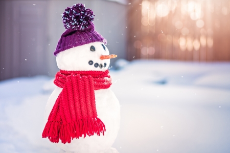 Snowman - hat, snowman, winter, scarf, purple, red, snow, iarna