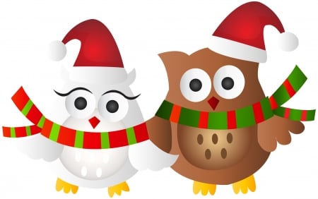 Merry Christmas! - bird, santa hat, bufnita, christmas, owl, fantasy, craciun, red, pasare, card, couple