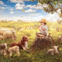 The little shepherd