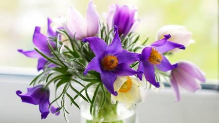 Still Life - flower, still life, purple, beautiful