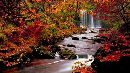 Waterfall in Autumn - vibrant, Autumn, water, nature, waterfall, Fall, creek, beauty