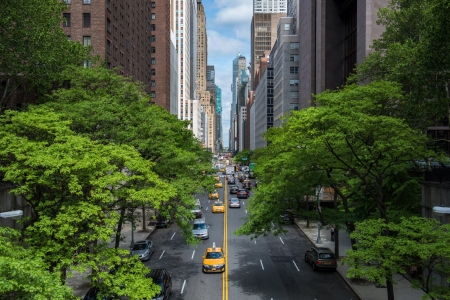 taxi in brooklyn - street, buidling, taxi, brooklyn, tree