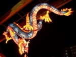 japanese dragon lantern