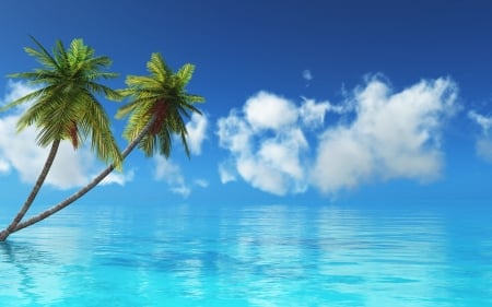 Tropical Island - Water, Nature, Palm trees, Blue, Sea