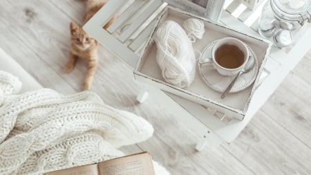 December - white, winter, photography, tea, cat