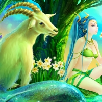 Zodiac ~ Capricorn