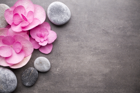 Pink flowers and stones