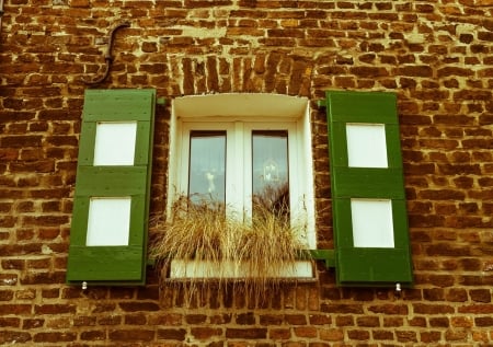 Window - Window, Flowers, Green, Bricks, Old, Architecture, House