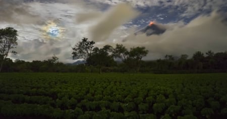 A Horizon with Blue and Red - forest, cool, fun, force of nature, nature