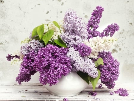 LOVELY LILACS - flowers, lovely, image, lilacs