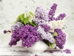 LOVELY LILACS