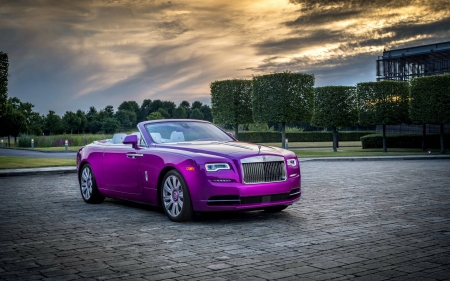 Rolls Royce - fun, Rolls Royce, car, forest, cool