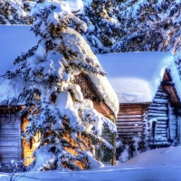 Snow Houses