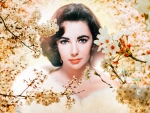 Liz Taylor