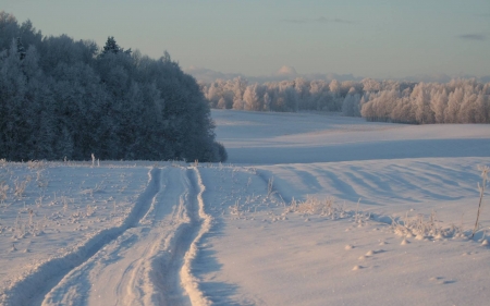 Winter Road in Latvia - Latvia, trees, winter, road, snow