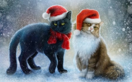 Santa Cats - fun, cool, animals, holiday, santa cats