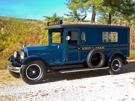 1926 buick ambulance - buick, grass, tree, ambulance