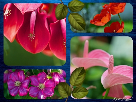 FLOWERS COLLAGE