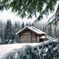 Forest House in Winter