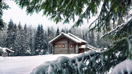 Forest House in Winter - house, trees, winter, nature, snow, forest