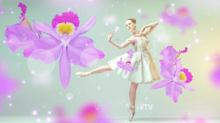 Ballerina - woman, girl, orchid, creative, fantasy, model, white, pink, tony kokhan, flower