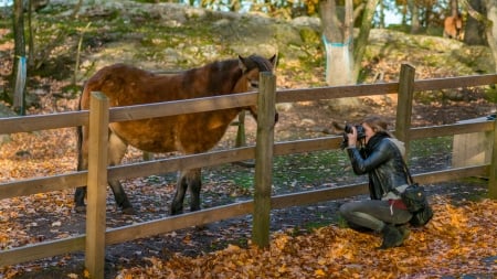 Cowgirl Photographer . . - girls, women, style, fun, fence, female, cowgirl, boots, outdoors, brunettes, western, horses, photographer, corral, camera, ranch