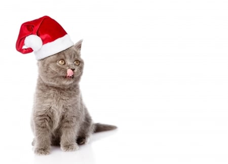 Christmas kitten - hat, cat, christmas, santa, pisica, animal, craciun, kitten, funny, red, cute, tongue