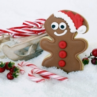 Gingerbread man