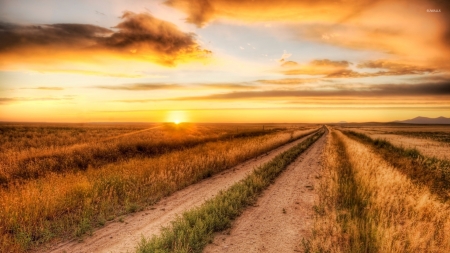 Burning Sky Above the Autumn Field - nature, sky, autumn, sun, clouds, field