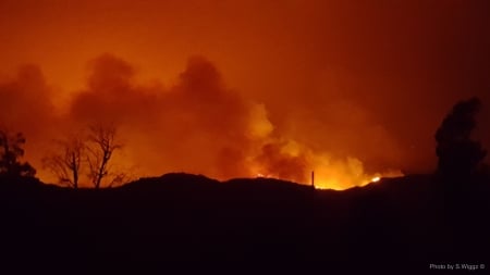 Thomas Fire, Ventura County, California - Trees, Disaster, Smoke, Flames, Fire, Ventura