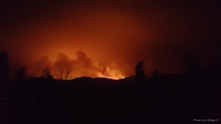 Thomas Fire,Ventura County, California - Trees, Smoke, Darkness, Flames, California, Fire, Ventura