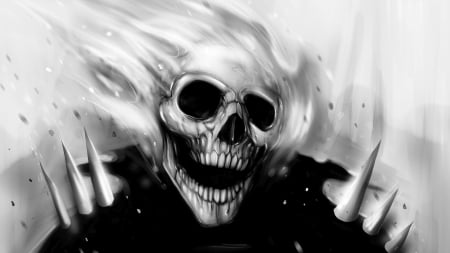 ghost rider - rider, ghost, jacket, skull