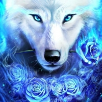 White wolf with a rose