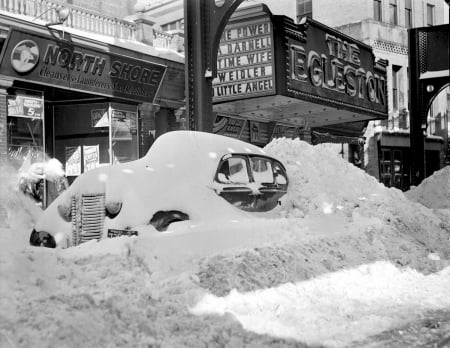 winter - cold, cars, white, winter