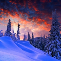 Snowy Winter Landscape at Dusk