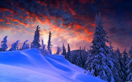 Snowy Winter Landscape at Dusk - Trees, Nature, Clouds, Winter, Dusk, Snow, Landscapes, Twilight, Sky