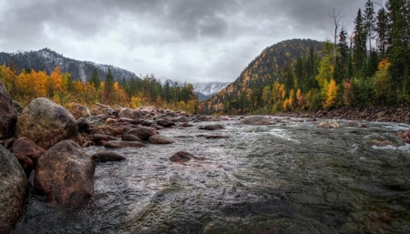 Beautiful Nature - tree, dark, cloud, river