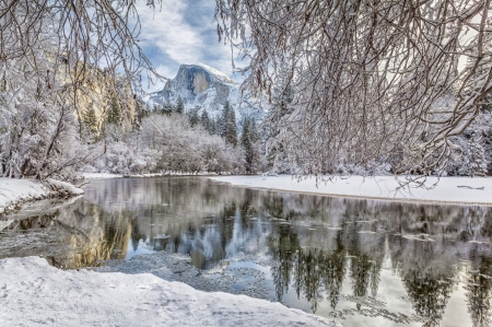 Stunning of the winter - winter, nature, tree, river